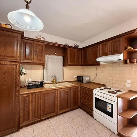 Francis Traditional Karpathian House