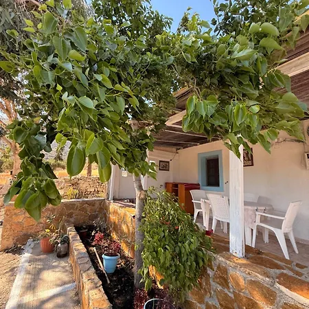 Francis Traditional Karpathian House Μενετές