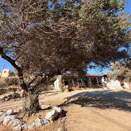 Francis Traditional Karpathian House Σπίτι διακοπών